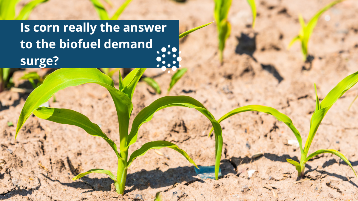 The Biofuels Market is Set to Double by 2033, But Current Feedstocks Can't Keep Up.